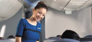 Smiling Flight Attendant